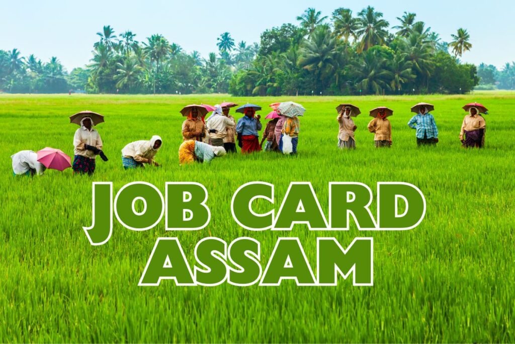 Job Card Assam List 2024: Check Your Name in the List