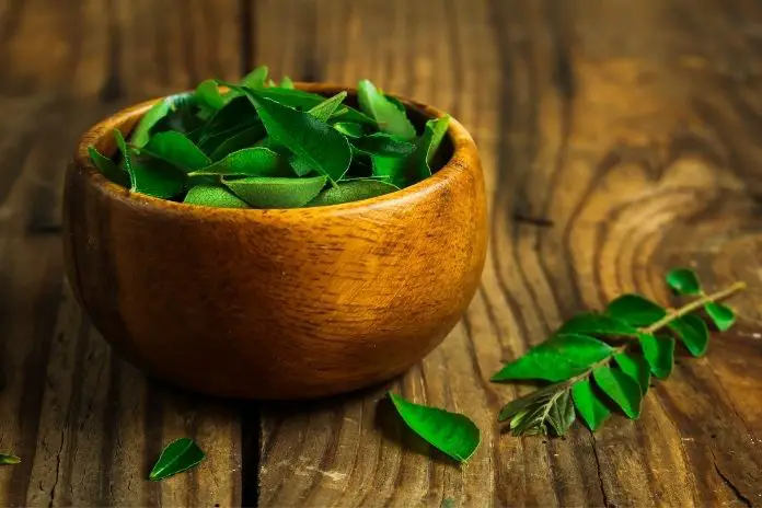 Aarogya Kavach  Curry leaves commonly known as Kadi patta The main  Nutrients found in curry leaves are carbohydrates energy fiber  phosphorous magnesium copper and minerals They are rich in Vitamin A
