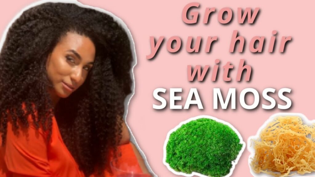 Sea Moss Benefits for Hair