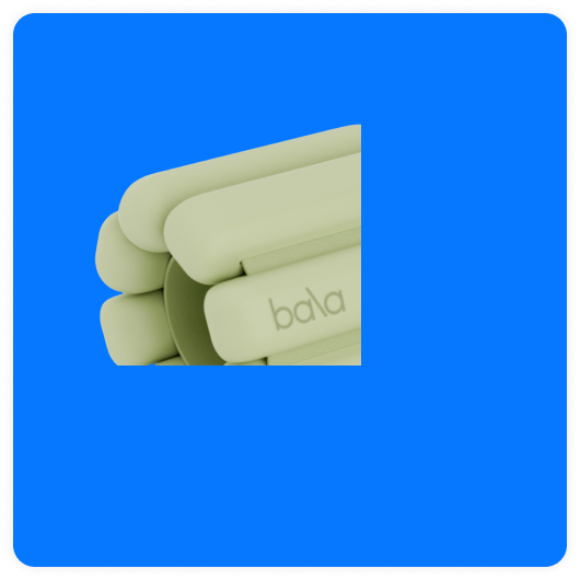 Bala Bangles Wrist & Ankle Weights
