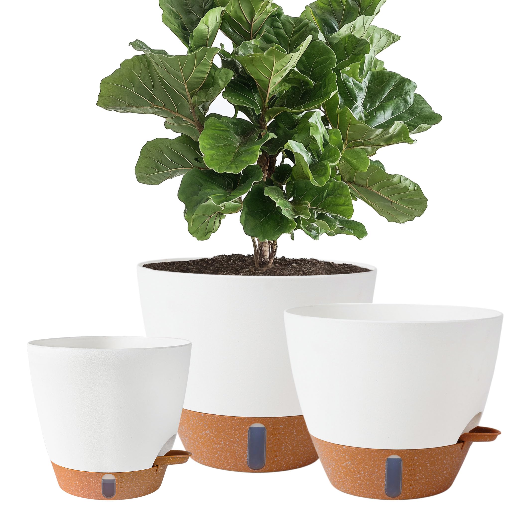 Self-Watering Plant Pots Set