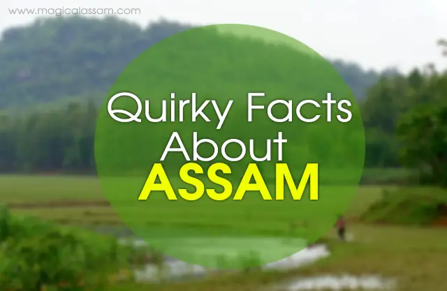Quirky-Facts-About-Assam