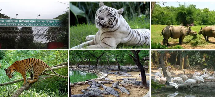 Assam-State-Zoo