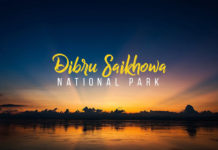dibru saikhowa national park
